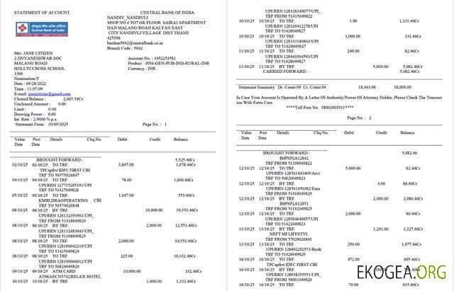 Modèle de relevé de compte de la Banque centrale de l'Inde en Inde, Word et PDF, 2 pages